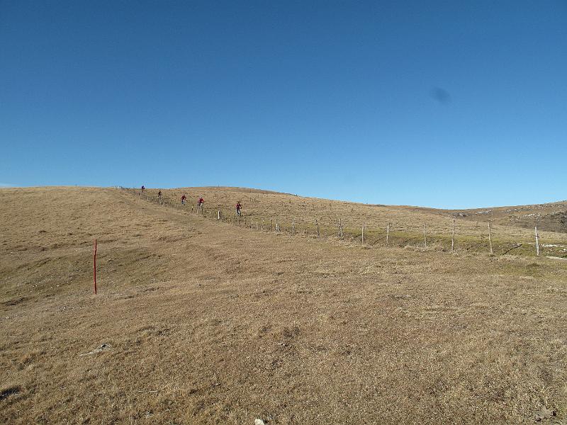 LESSINIA DIC 2011 (47).JPG